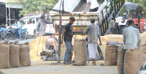 Weeping of moisture at government centers, private bought 20 thousand quintals of paddy