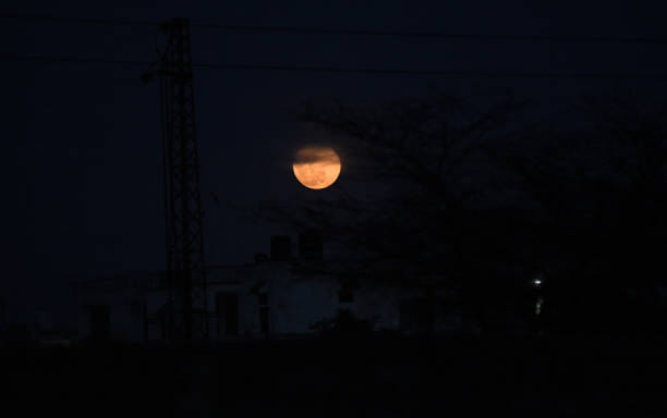 Sharad Purnima 2022 Ke Upay Do This Astrological Remedy On Sharad Purnima You Can Get Rid Of Debt