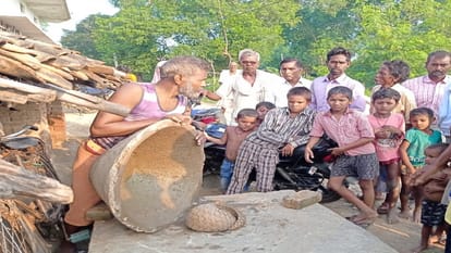 Pangolin a rare creature found in the farmers kitchen shrinks on seeing people crowds gathered to see