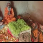 साधु ने शरीर पर उगाए जवा