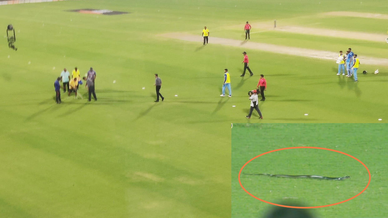 IND vs SA 2nd T20: Snake entered Guwahati ground, players scared and match stopped for few minutes, see photos