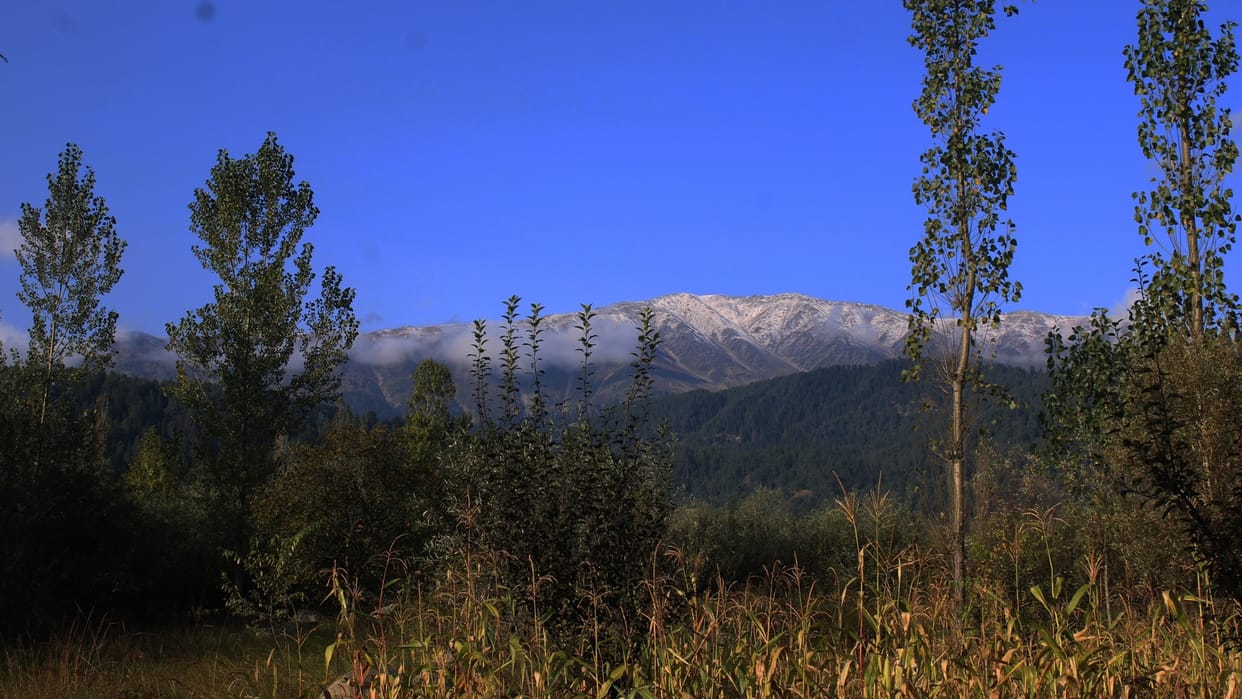 Snowfall in Kashmir: Season first snowfall in higher reaches of Gulmarg north kashmir