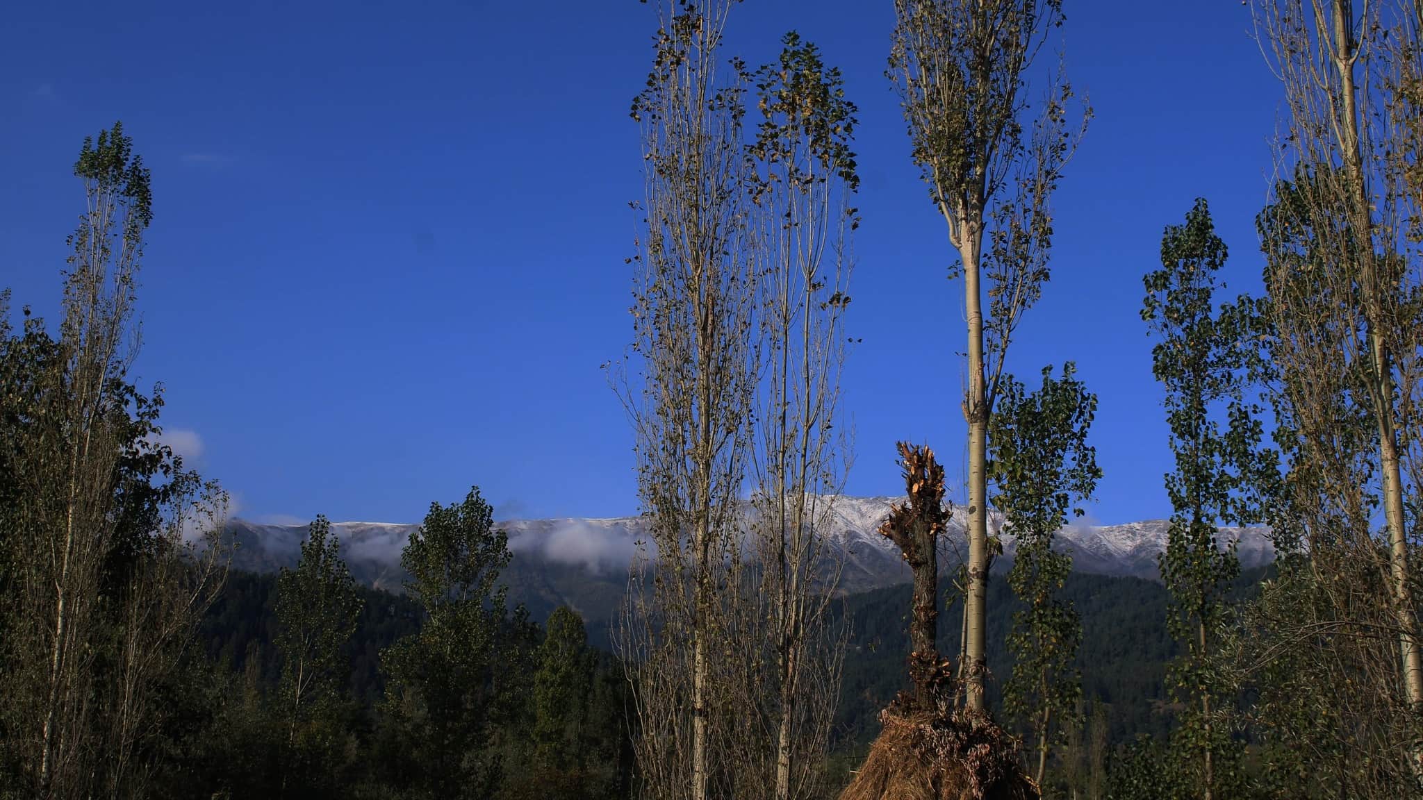 Snowfall in Kashmir: Season first snowfall in higher reaches of Gulmarg north kashmir