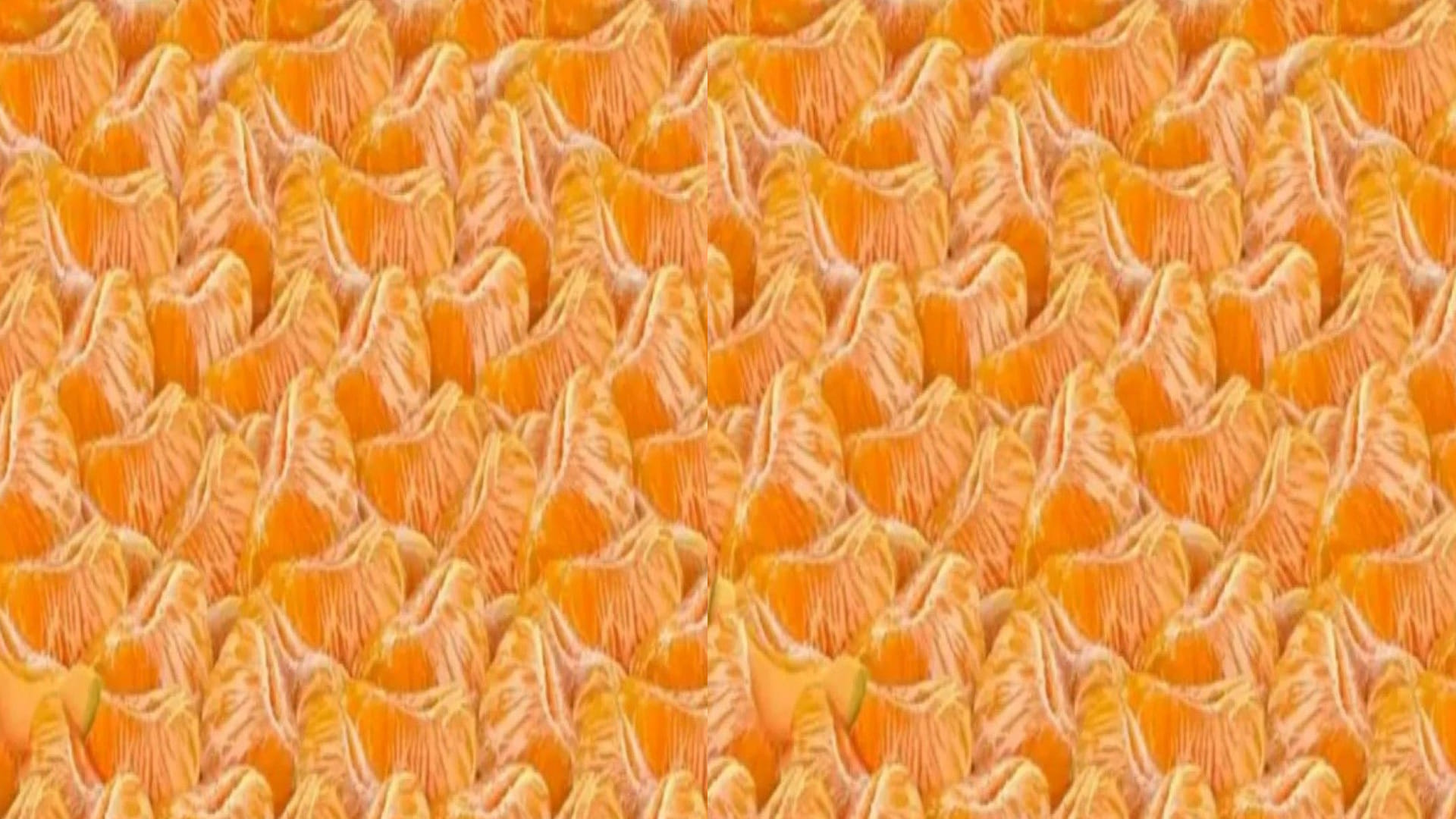 Viral Optical Illusion: Find out Hidden Watermelon from Illusion Image Check Your Brain IQ Test Photo