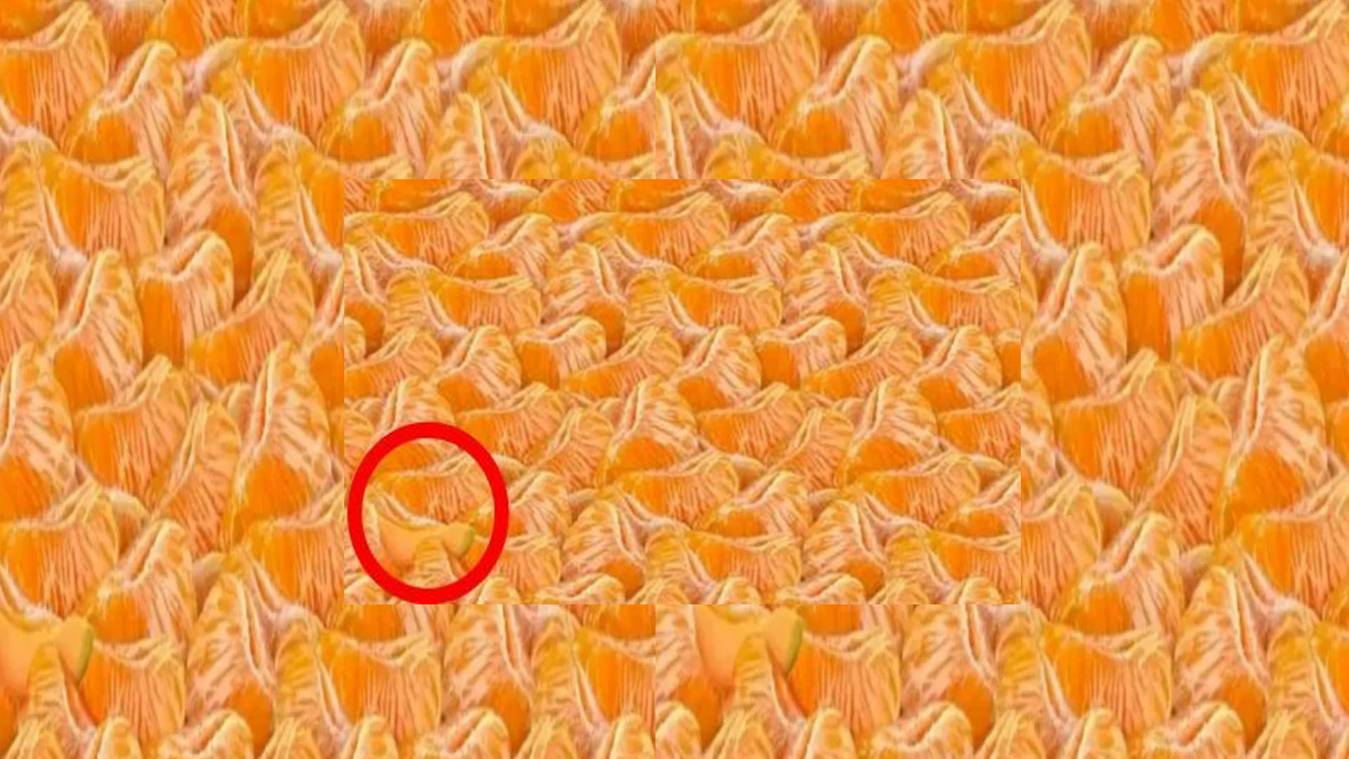 Viral Optical Illusion: Find out Hidden Watermelon from Illusion Image Check Your Brain IQ Test Photo