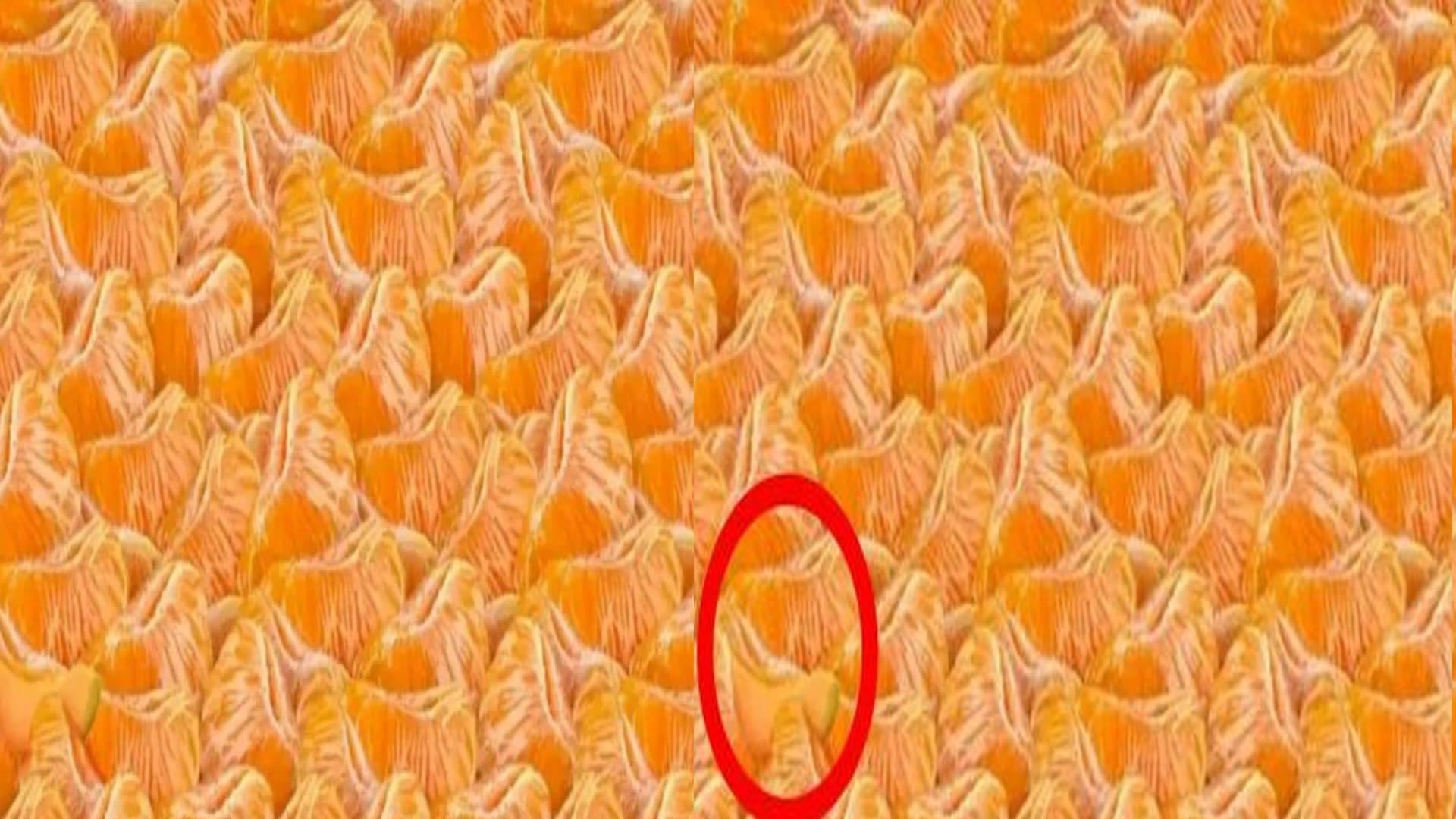 Viral Optical Illusion: Find out Hidden Watermelon from Illusion Image Check Your Brain IQ Test Photo