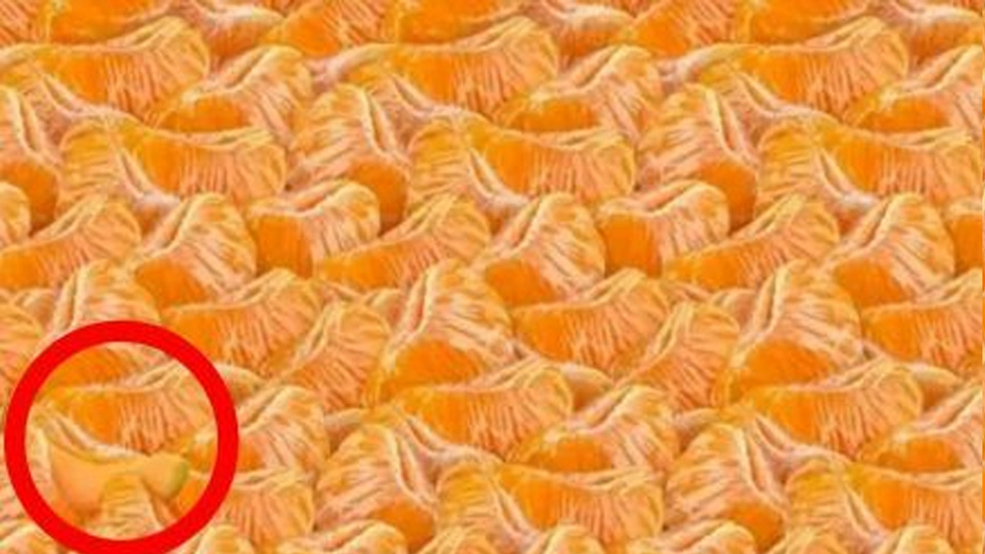 Viral Optical Illusion: Find out Hidden Watermelon from Illusion Image Check Your Brain IQ Test Photo