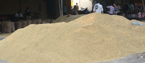 Paddy procurement being done directly by flouting the rules