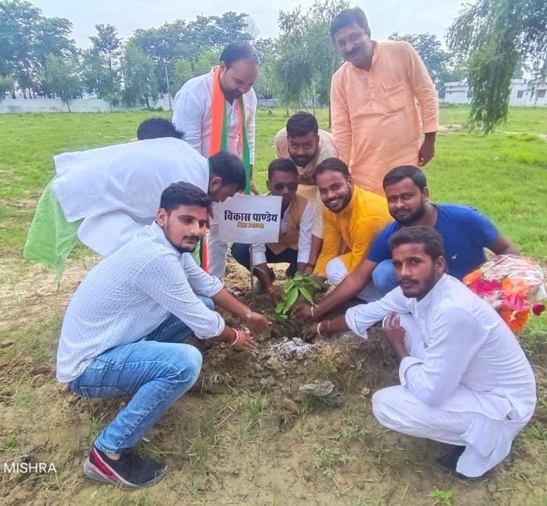 make plantation andcommitted to save environment