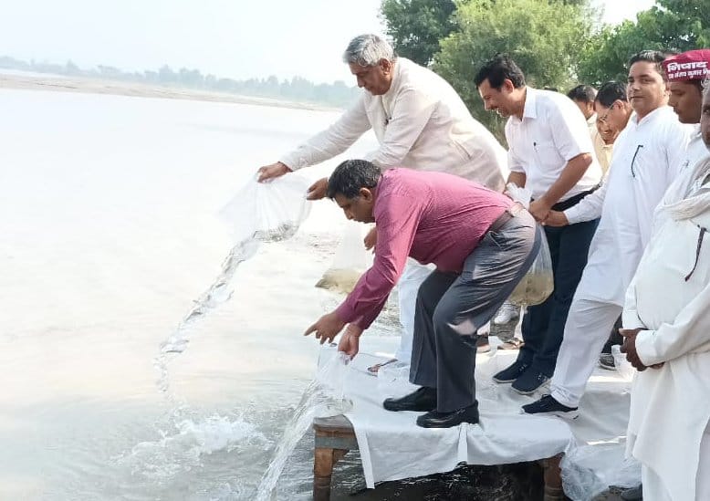 Two lakh fishes released in Yamuna