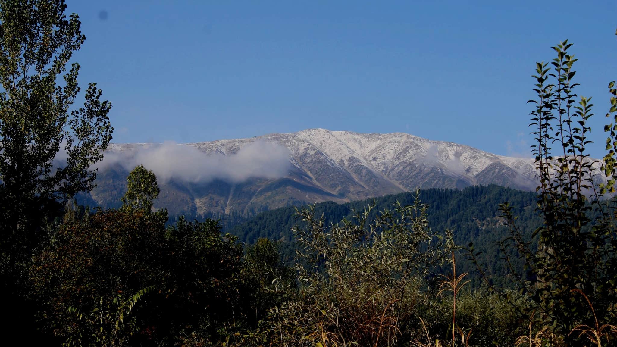 Snowfall in Kashmir: Season first snowfall in higher reaches of Gulmarg north kashmir