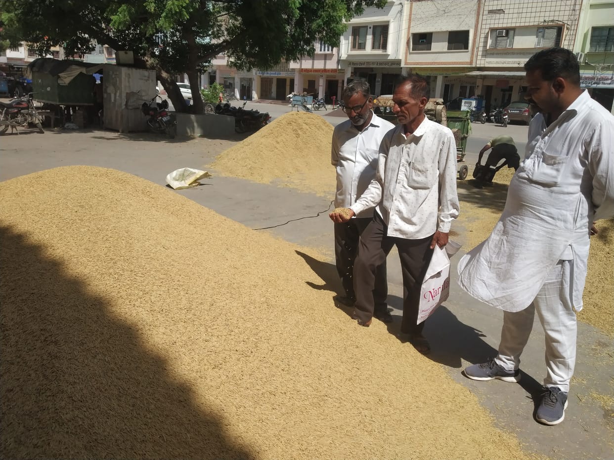 Purchase started: Farmers sold 95 thousand quintals of PR paddy on the first day