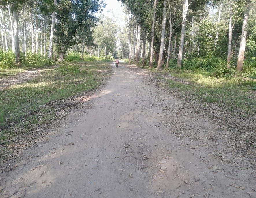 There is hope of reaching the road to village Rampur Chatha