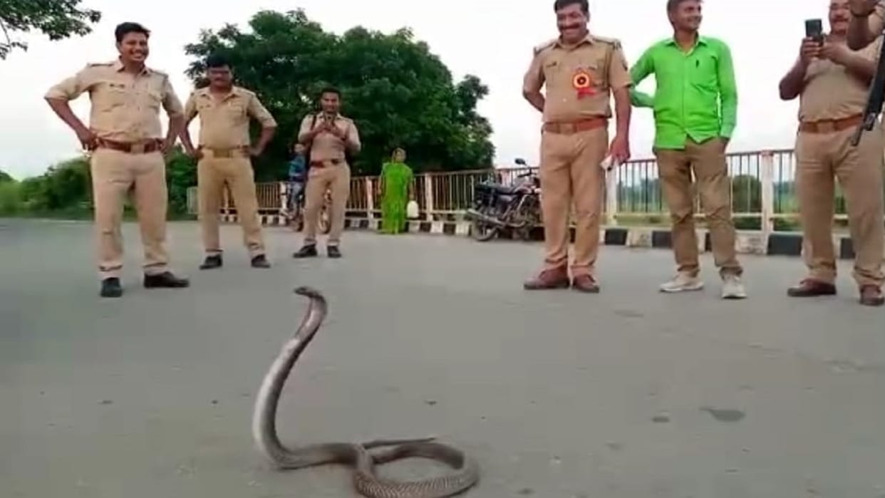 Basti policemen ran away after cobra came out of bike