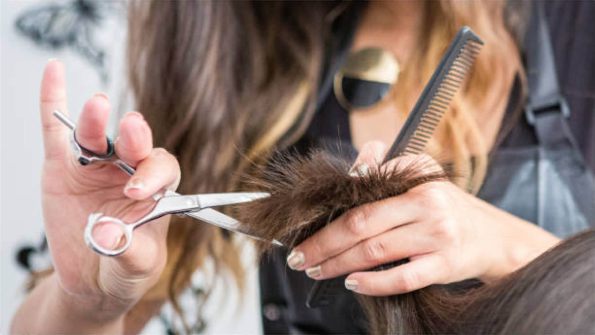 Split Ends Home Remedies How To Remove Split Ends At Home With Aloe Vera And Honey Know How To Use