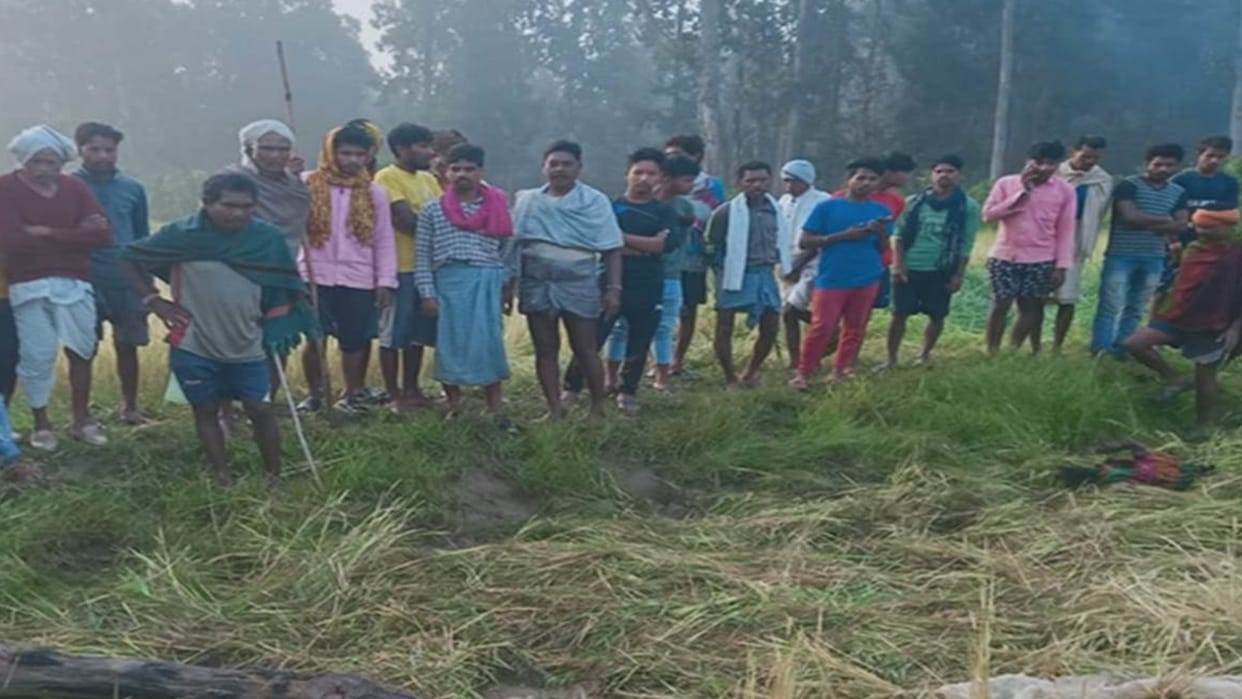 wild elephants attack on Farmer in madhya pradesh questions are being raised on forest department
