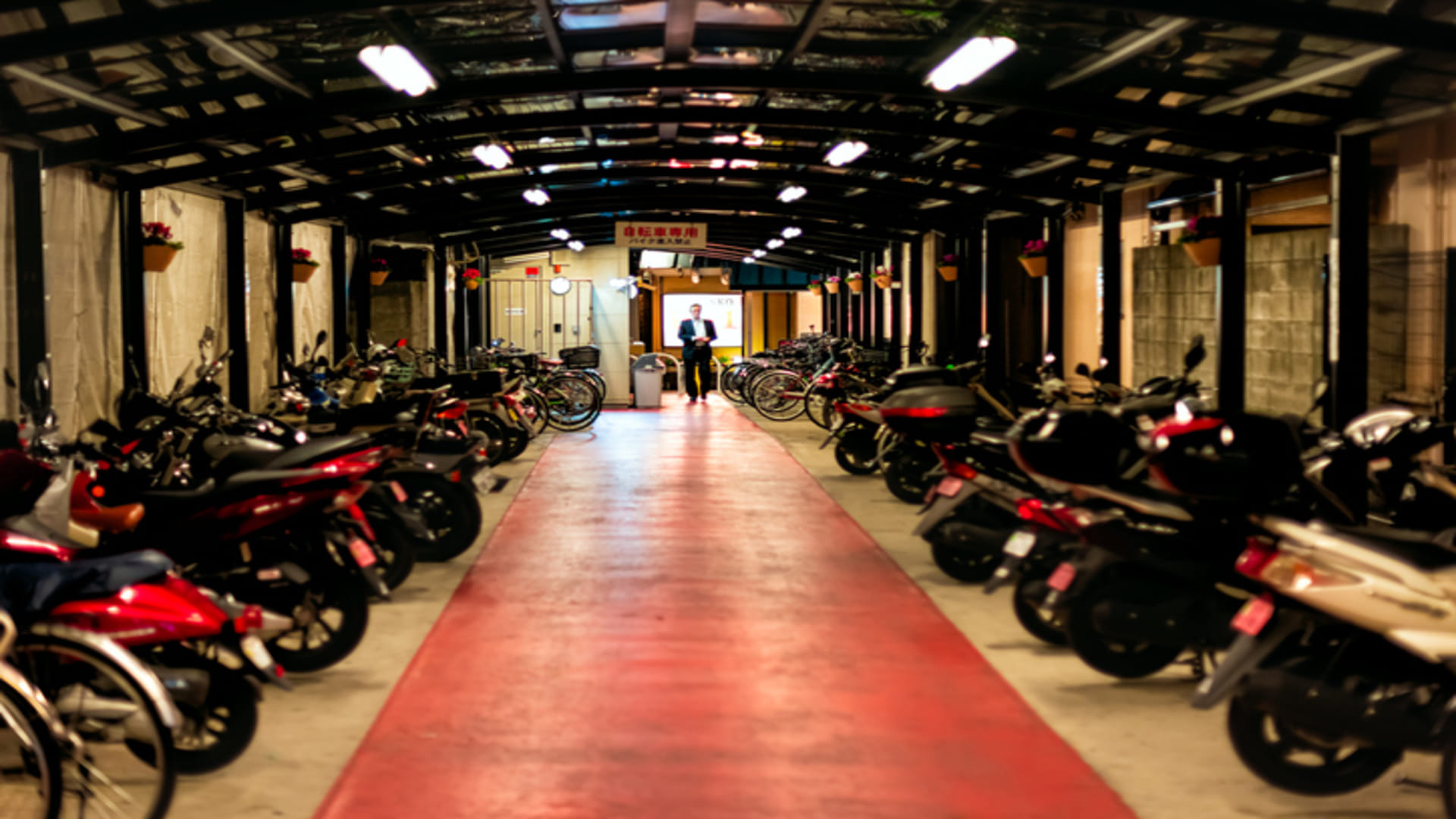 Motorcycle Buying Tips: Things to Check Before Buying New Bike on Festive Season Check Details