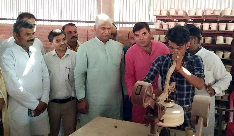 50 types of pottery plant started