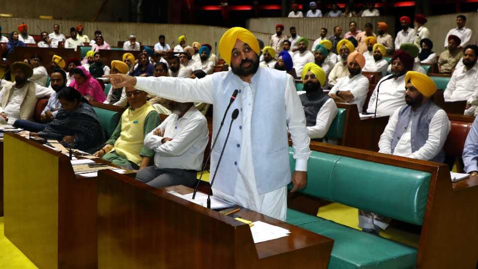 Issue of unclaimed dogs raised in the Punjab Assembly