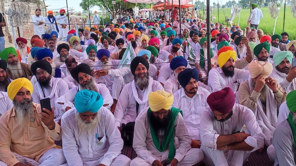 Farmers gathered in Jeera of Firozpur to Protest Against Liquor Factory