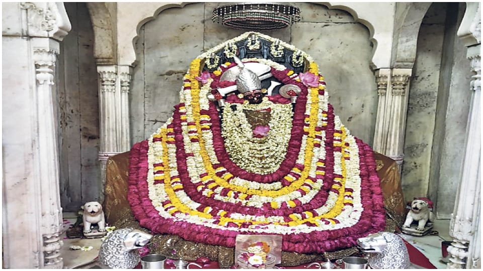 Shardiya Navratri 2022 Rajasthan Famous Mata Temples Mahashtami Fast