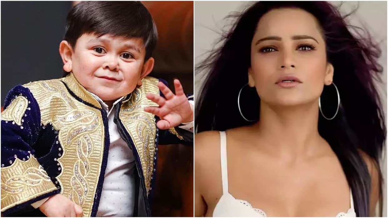 bigg boss contestant and congress mla archana gautam badly troll for making abdu height fun