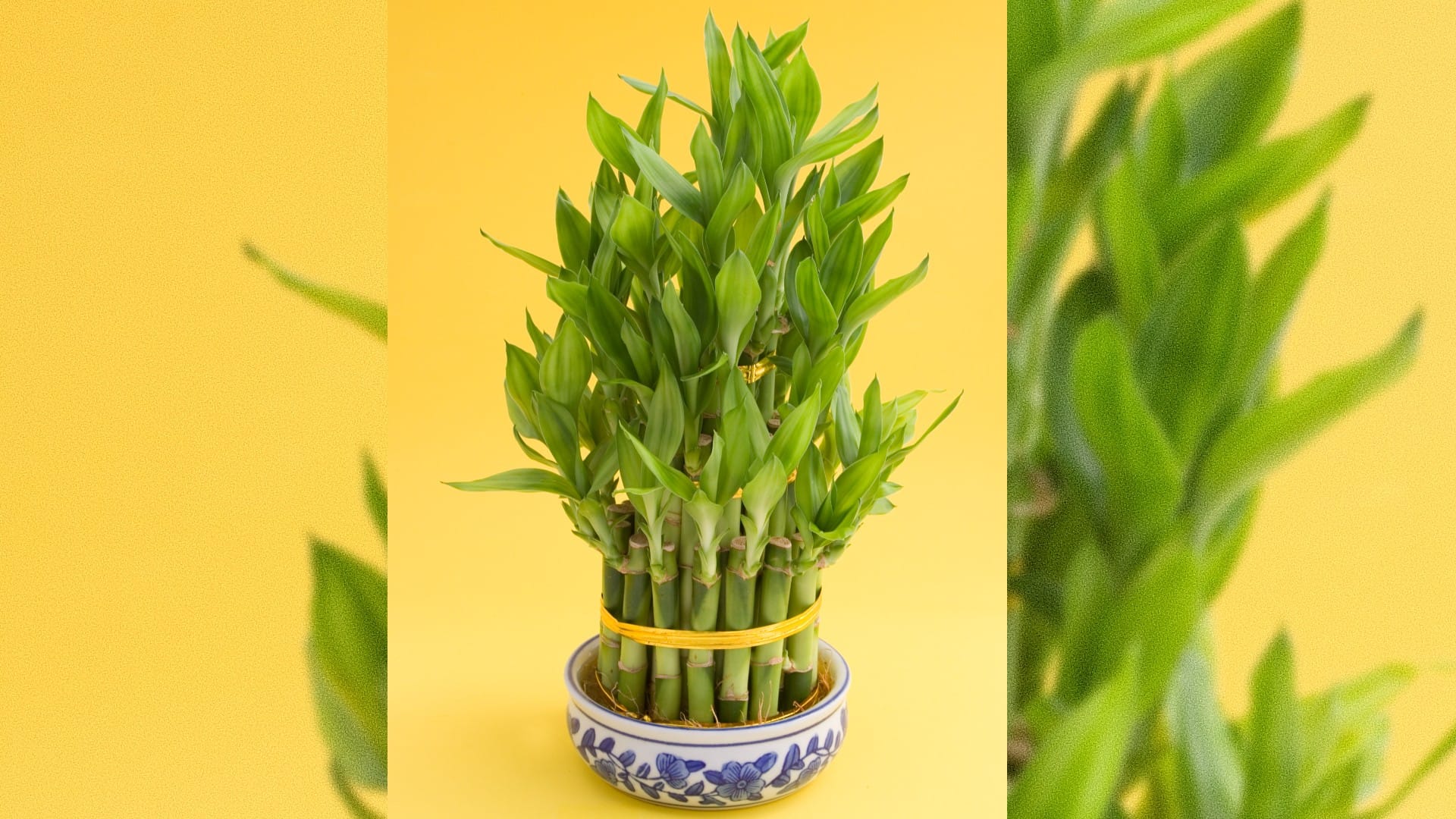Feng shui tips these fengshui items will increase good luck wealth happiness and money in your life