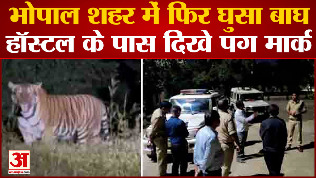 भोपाल बाघ