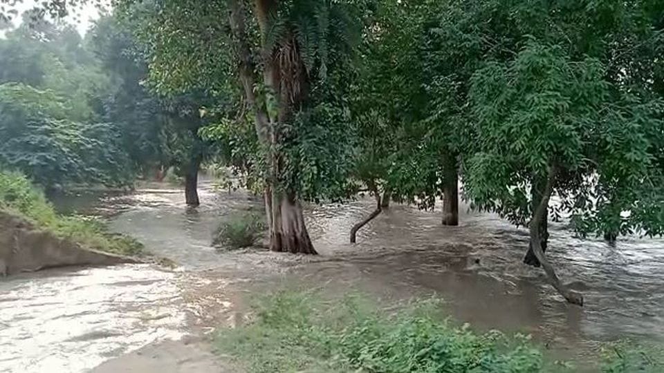 Two thousand bigha crops submerged in water due to canal breaks in Etah