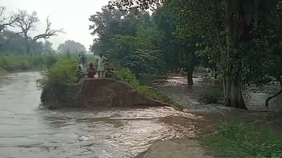 Two thousand bigha crops submerged in water due to canal breaks in Etah