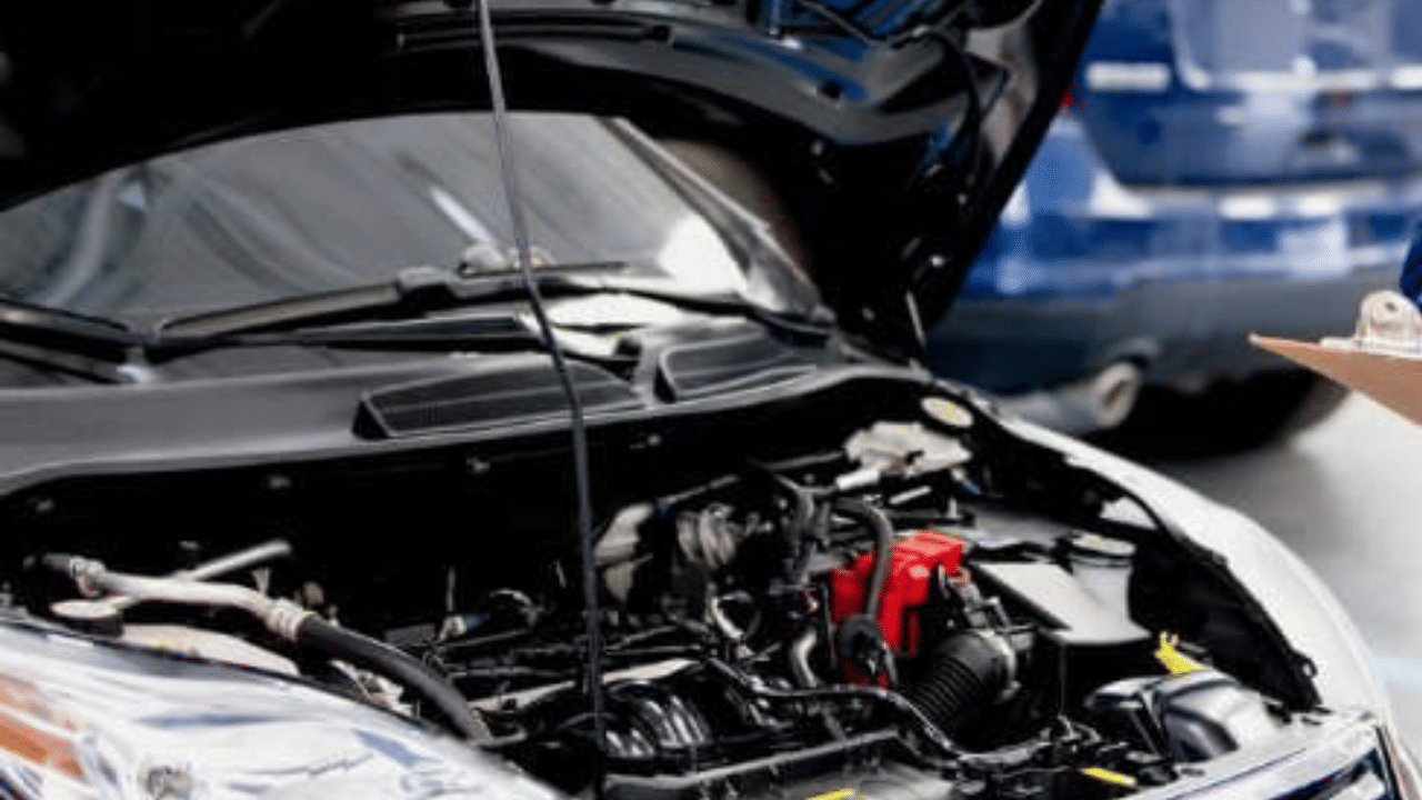 Kia called back 44 thousnad plus Carens many companies have already recalled their cars