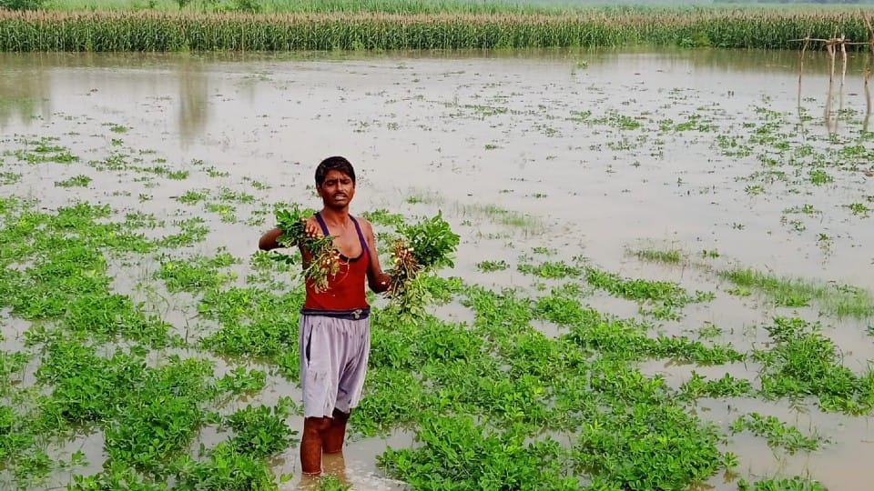 Two thousand bigha crops submerged in water due to canal breaks in Etah