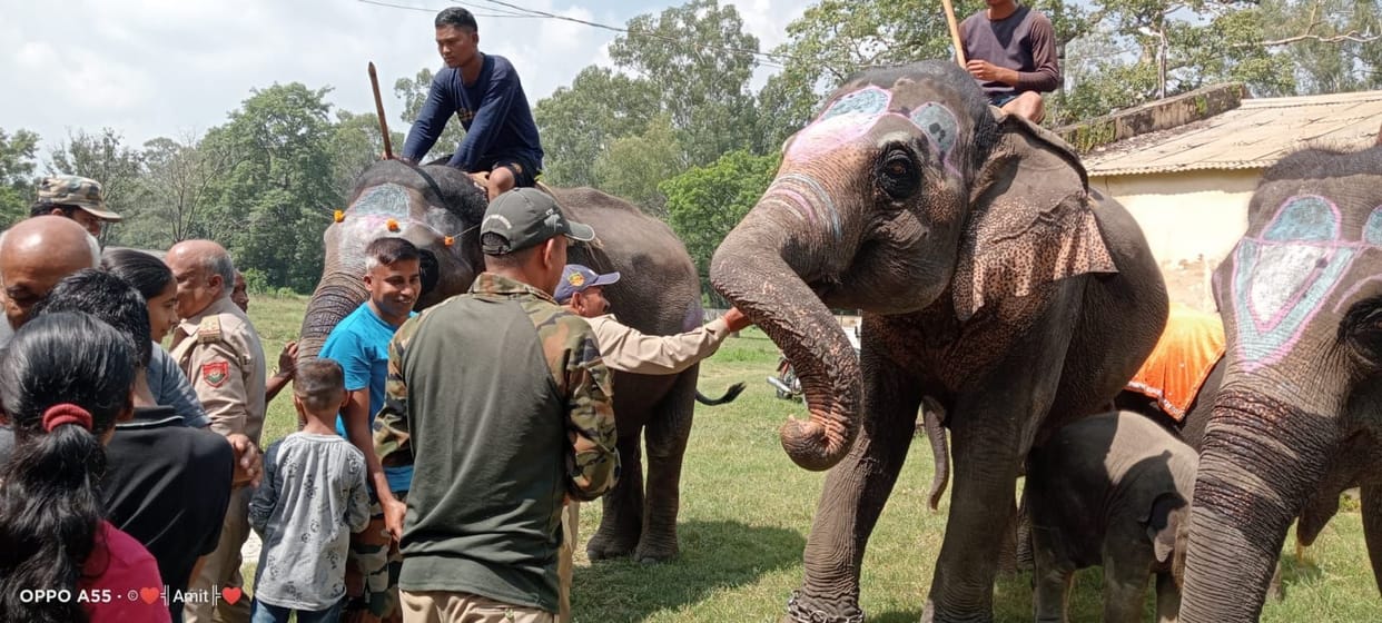 Forest Department celebrated Elephant Day in Kalagarh