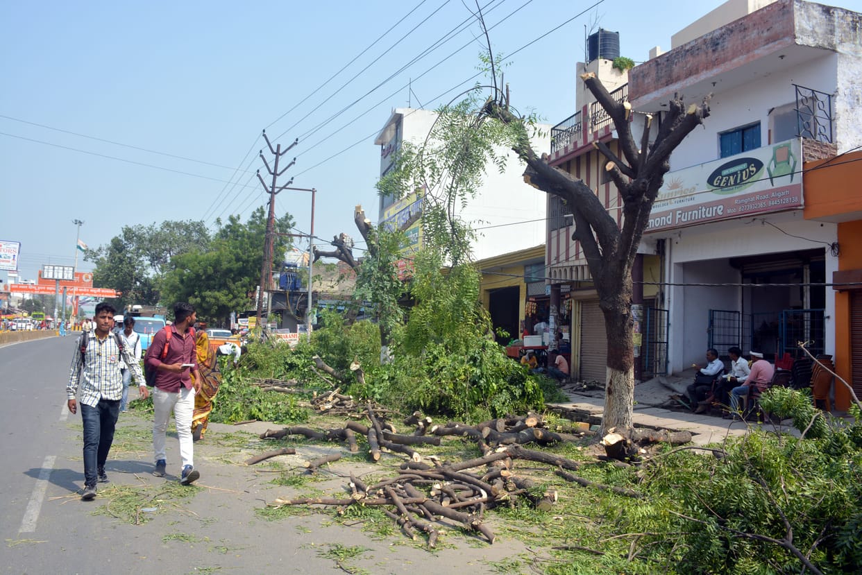 First the roads were dug... now the smart city saw on the green trees
