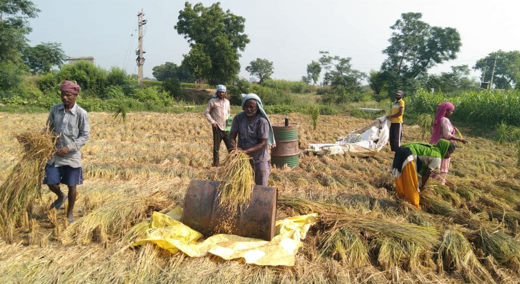 It is the turn to remove stigma, 27 lakh quintals of stubble is ready to be melted in the field itself