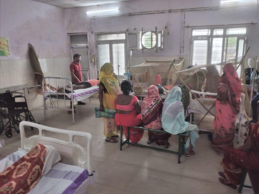 Dengue symtoms found in 12 new dengue patient