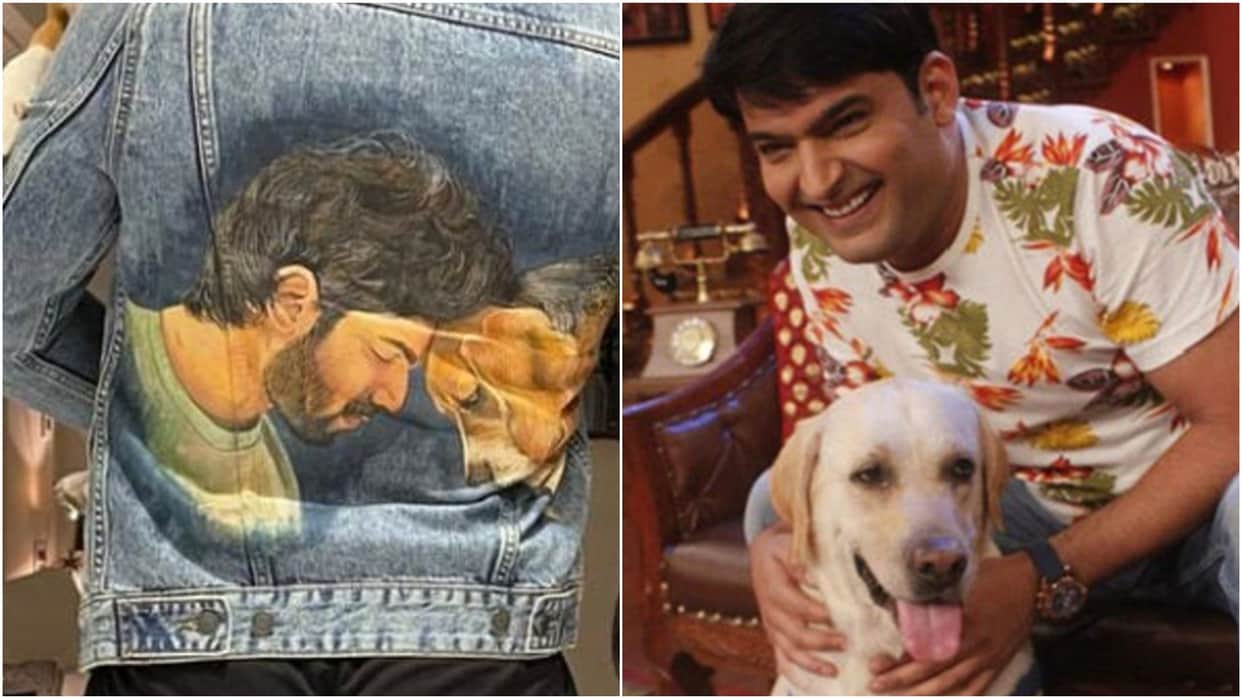 bollywood celebrities pet lover salman khan alia bhatt kapil sharma varun dhawan randeep hooda