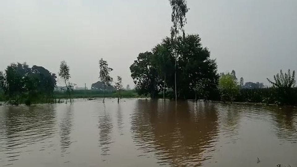 Two thousand bigha crops submerged in water due to canal breaks in Etah