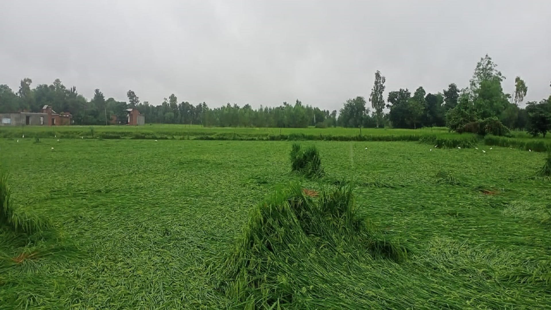 Heavy rain expected in Uttar Pradesh till October 8