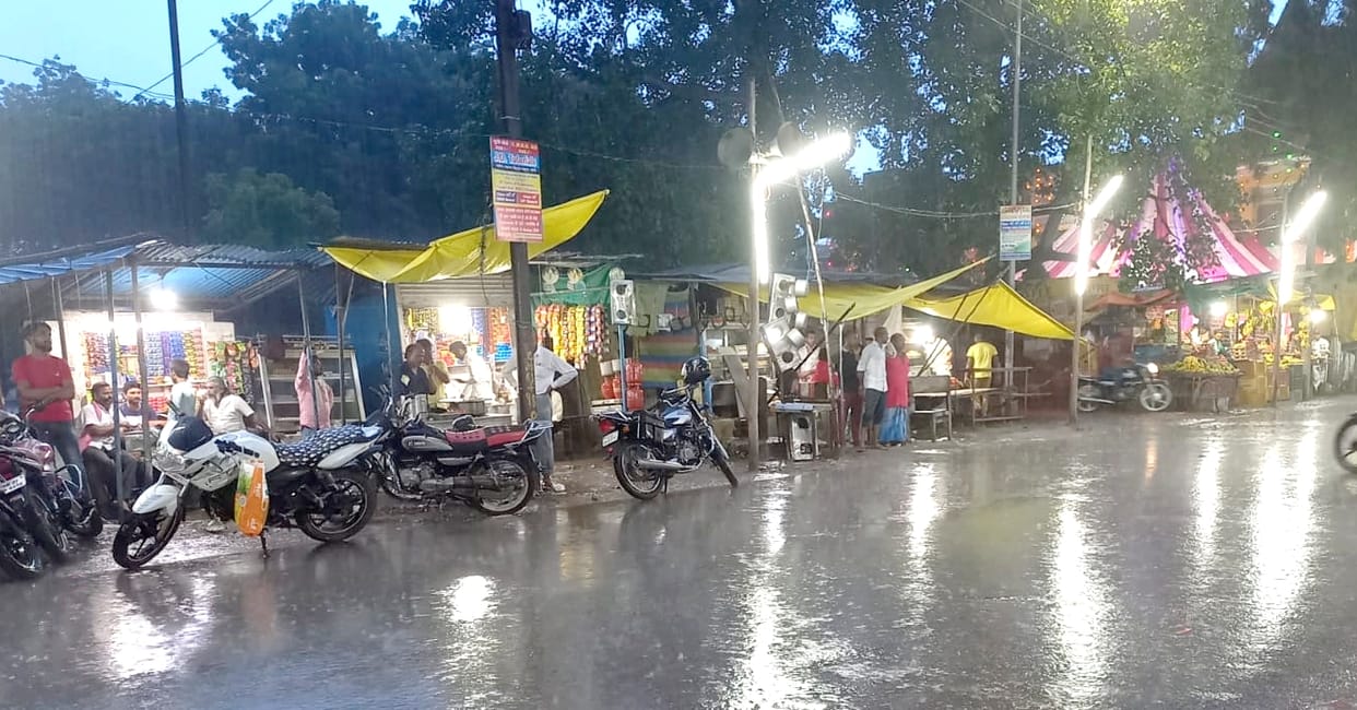 Kharif-Ravi crop got life due to heavy rain