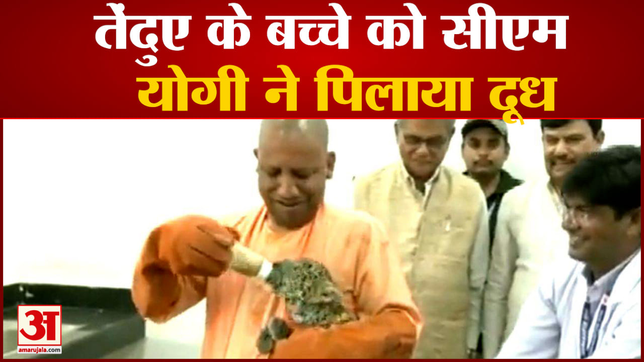 सीएम योगी