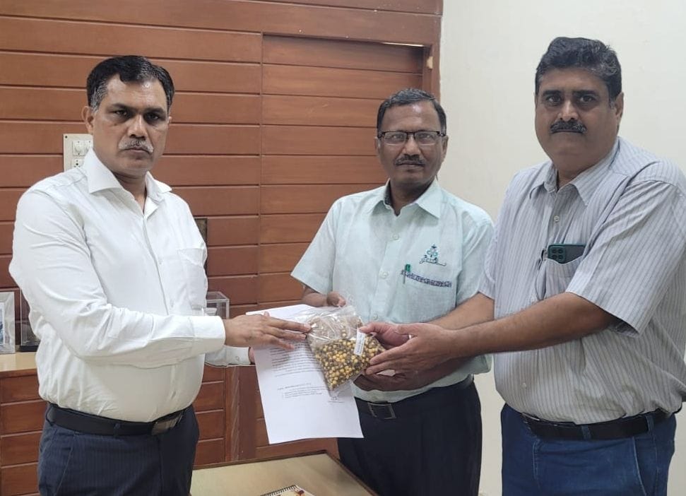 Health department will remove anemia of pregnant women by feeding jaggery and gram