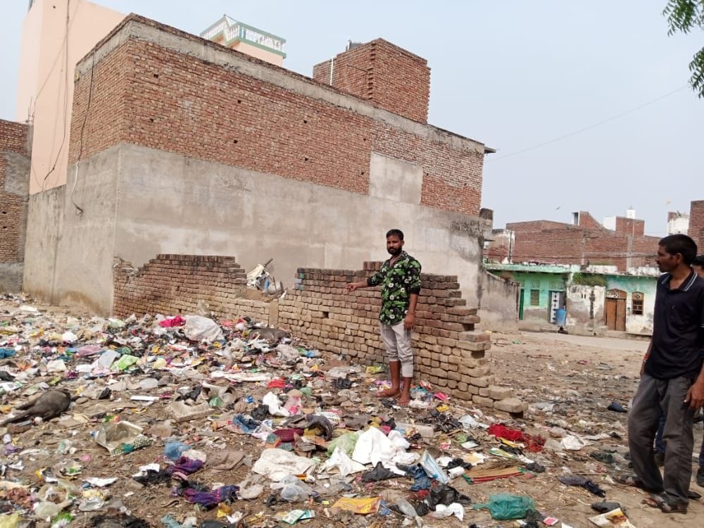 Hathras: Eight more pigs mysteriously die