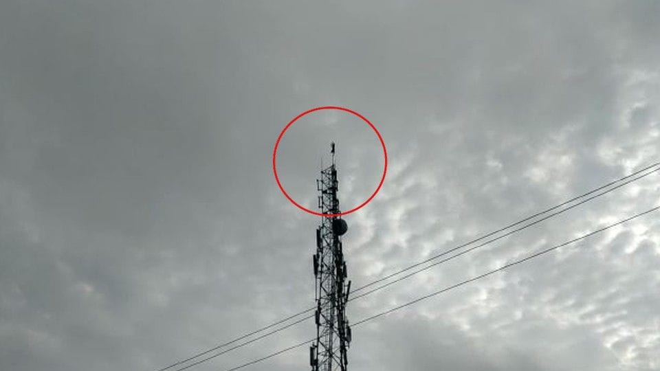 Hanuman devotee muslim man climbed the mobile tower to hug Hindu-Muslim in Mainpuri karhal