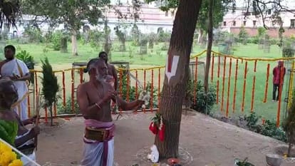 शमी वृक्ष का हुआ पूजन