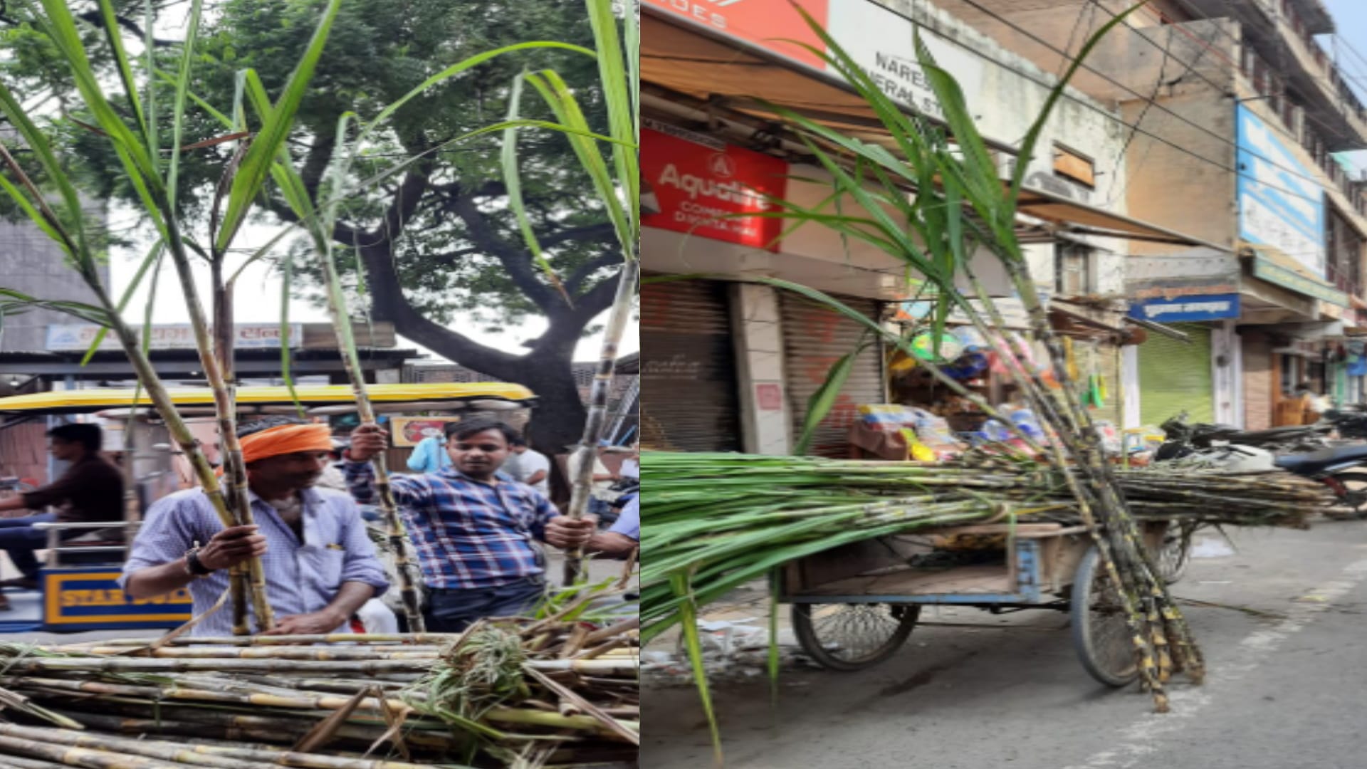 Dussehra 2022: Vijayadashami in auspicious coincidence of Shravan Nakshatra, one sugarcane sold for rs twenty