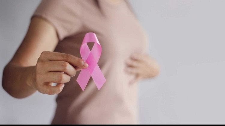 Breast Cancer causes and risk factors in Female, How does fiber reduce breast cancer risk