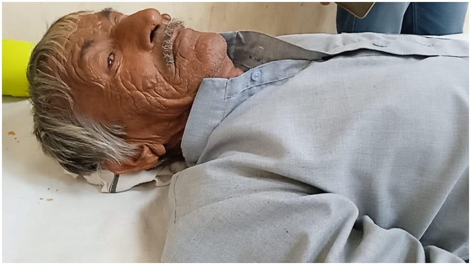 Snake bitten the elderly person in churu