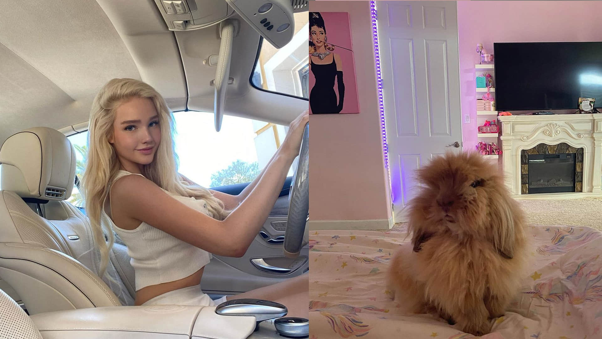 america 23 years old girl become crorpati she shopping for dog to plane