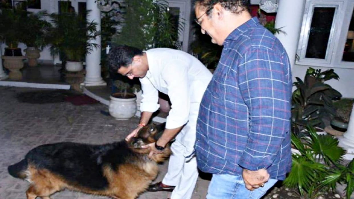 Sachin Pilot caressed pratap singh khachariawass dog funny comments came on social media